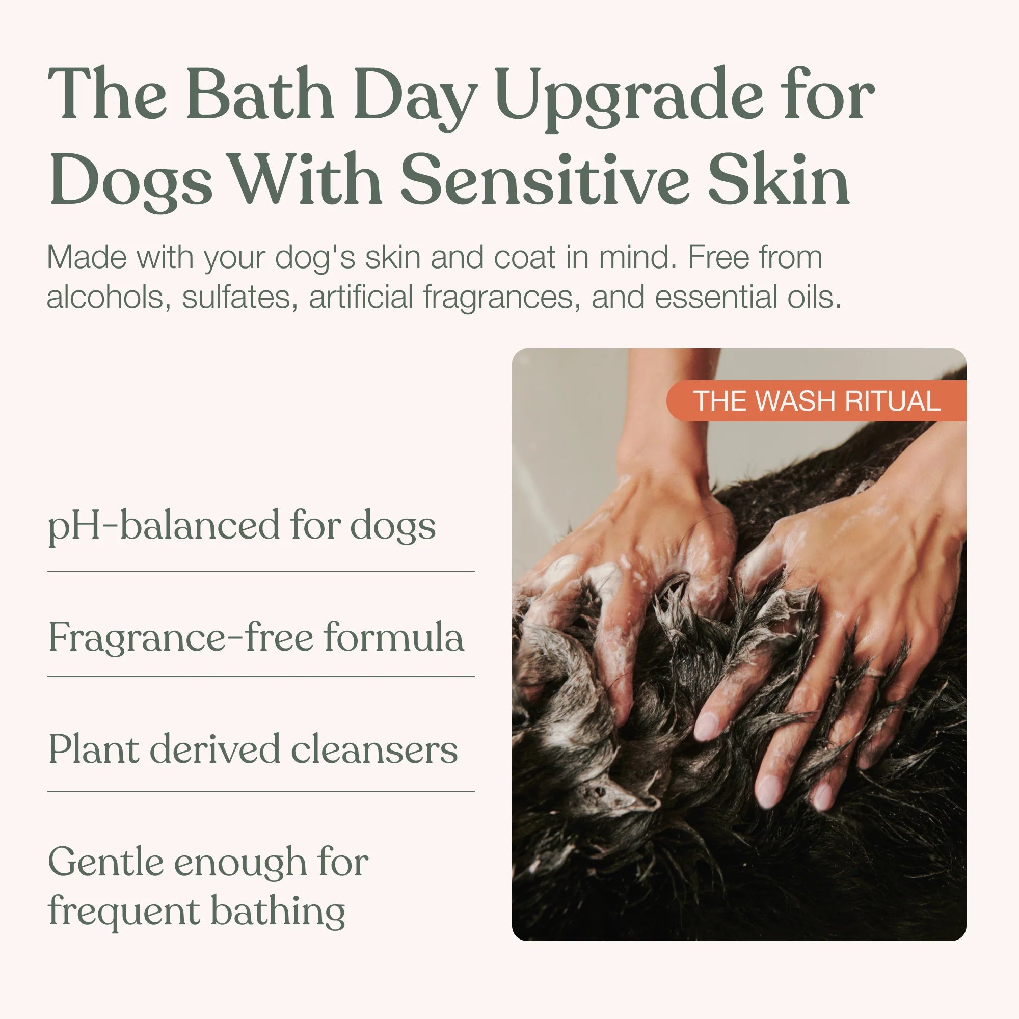 Luxury Pet's Shampoo + Conditioner Combo