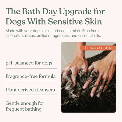 Luxury Pet's Shampoo + Conditioner Combo